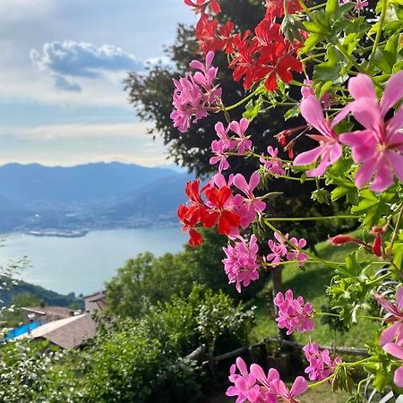 Casa Vacanze Il Pettirosso. Пизонье Экстерьер фото
